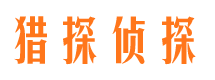 临高市调查公司